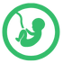 feature icon
