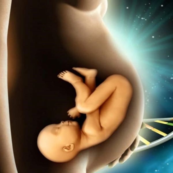 medicina-materno-fetal