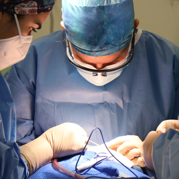 cirugia ginecologica